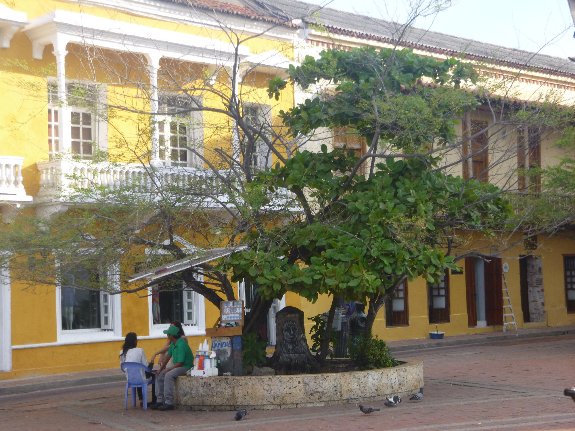 plaza Santa Teresa 