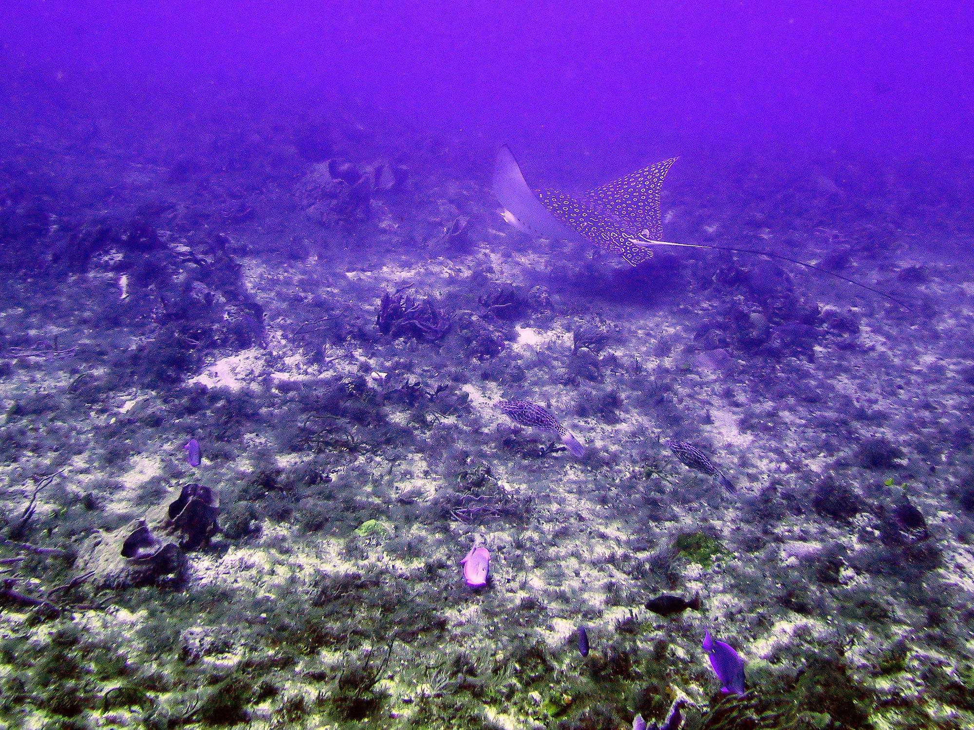 Tunich- Dive Site, Мексика