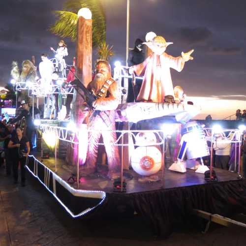 Float Carnival