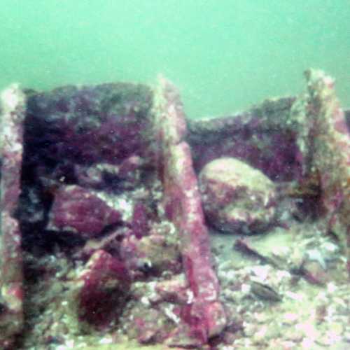 Tapilon ( Oakita Maru Dive Site, Philippines