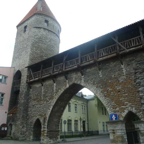 The Nun's Tower and Monastery Gate, Estonia