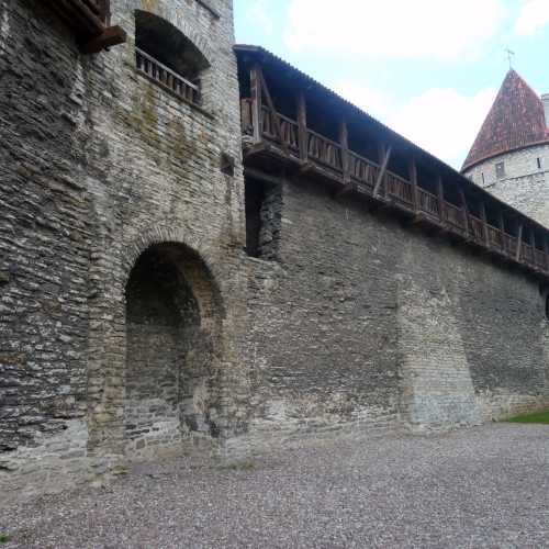 Nunnatorn ja linnamüüri platvorm