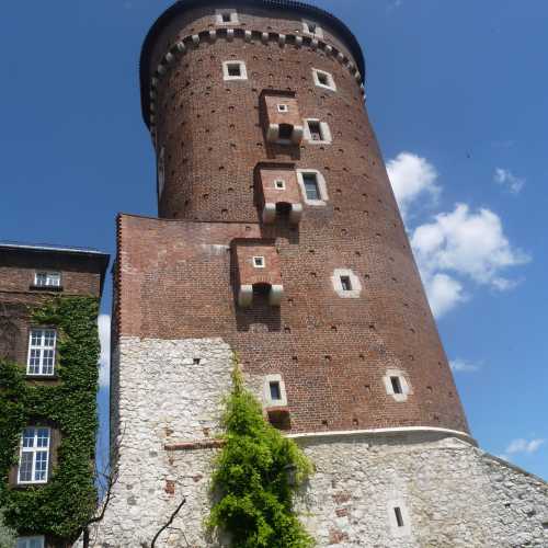 Sandomierz Tower