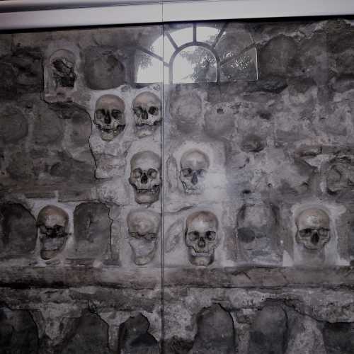 Skull Wall