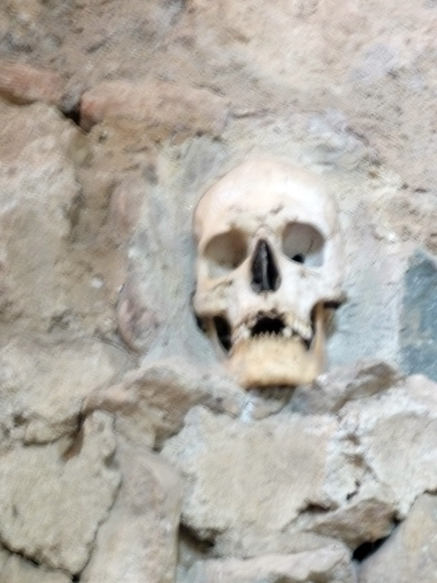 Skull in wall