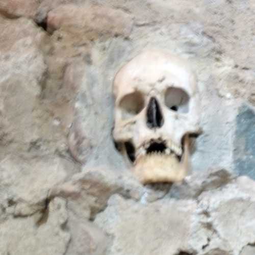 Skull in wall