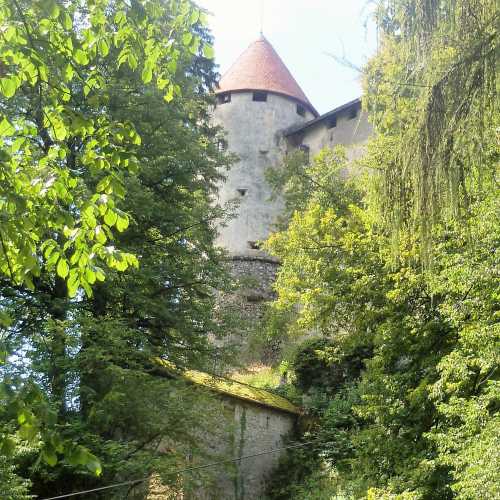 Castle approach
