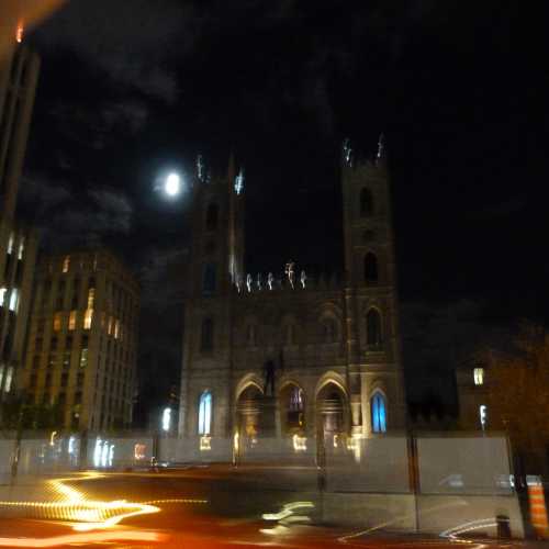 Notredam by night