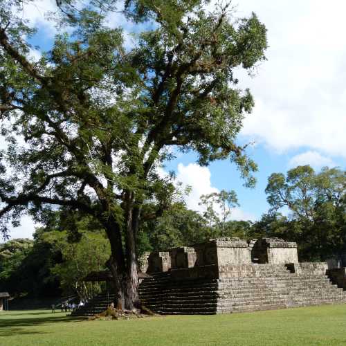 Copan Archaeology Site, Гондурас