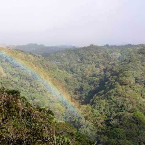 Monteverde Cloud Forest Biological Reserve