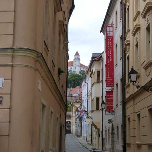 Castle peeping through the narrow streets