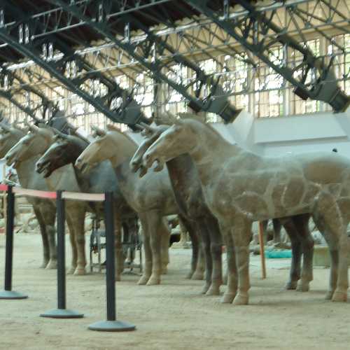Terracotta Horses