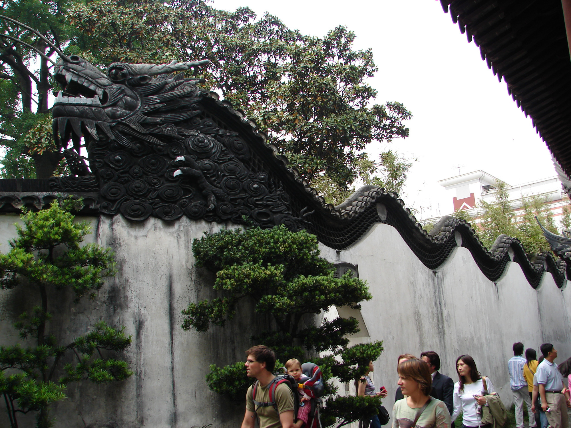 Garden Dragon Wall