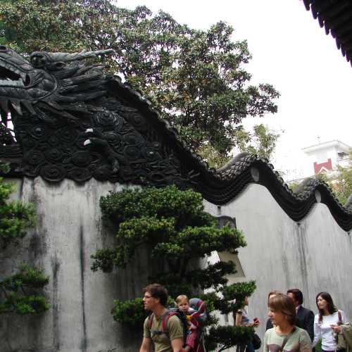 Garden Dragon Wall