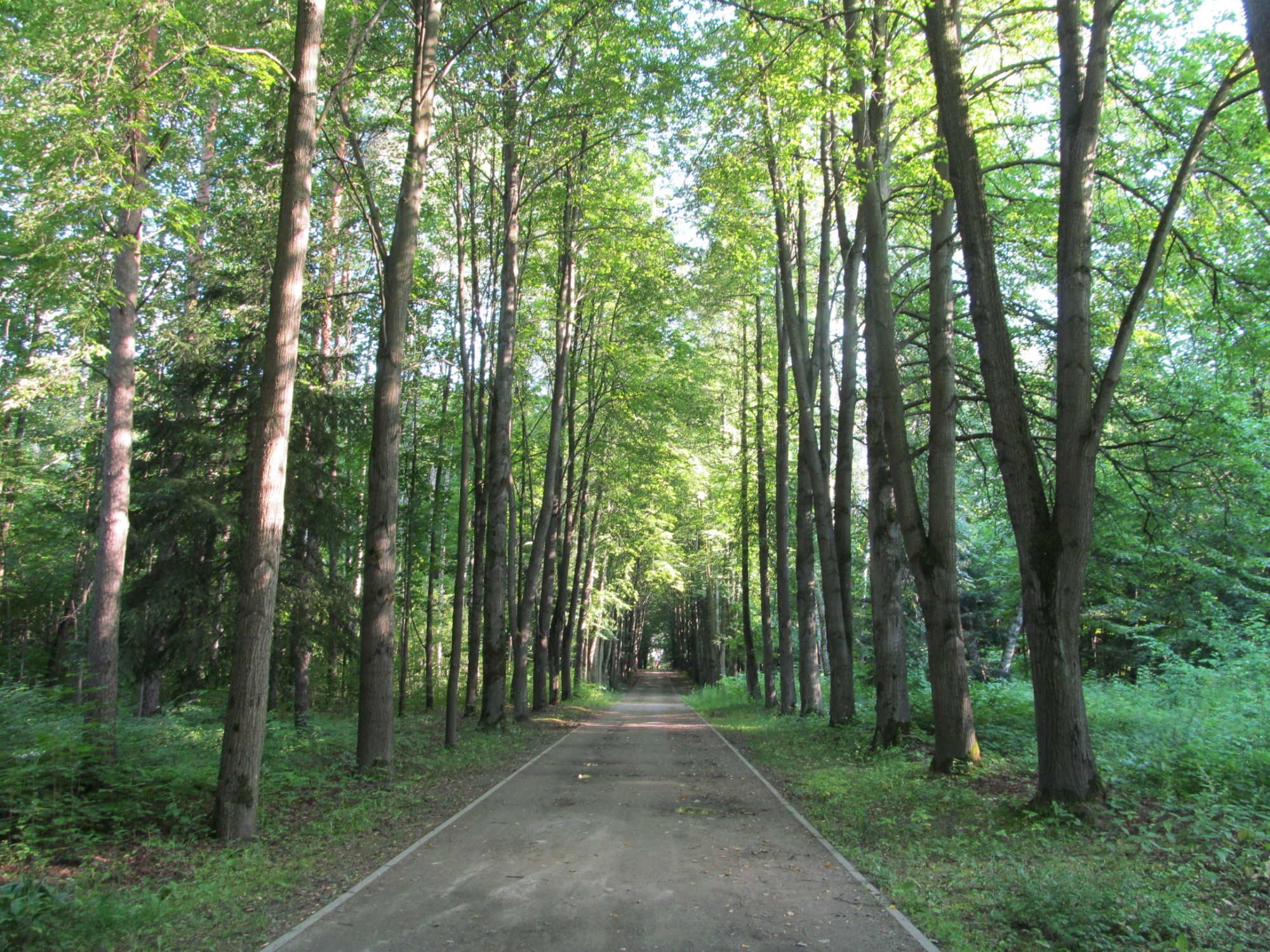 Central Botanical Garden of the National Academy of Sciences of Belarus, Belarus