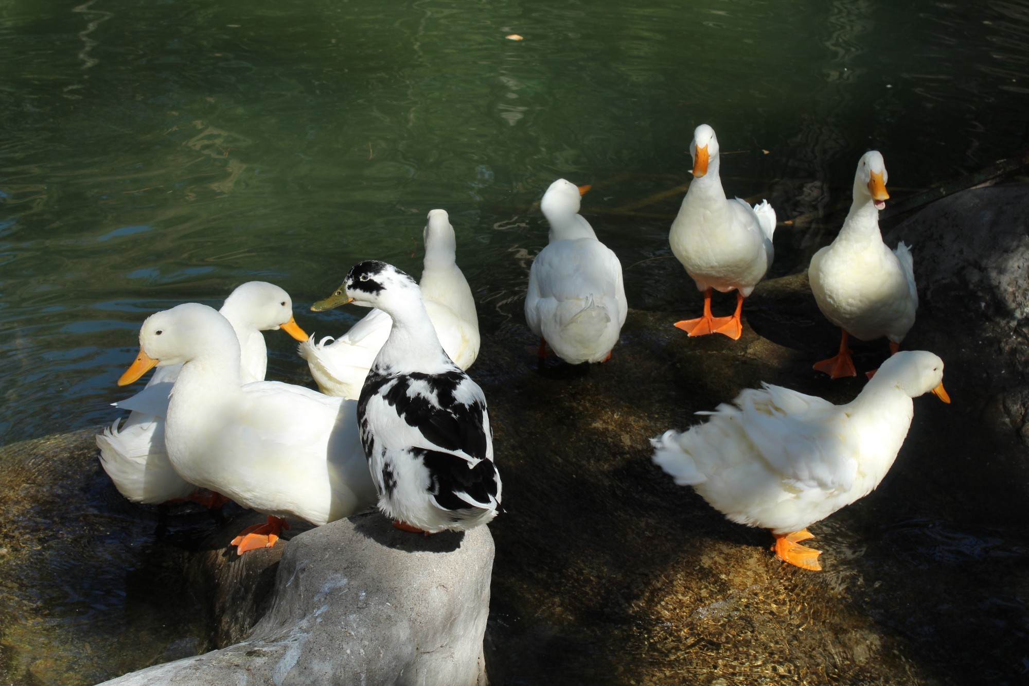 Antalya Zoo, Turkey