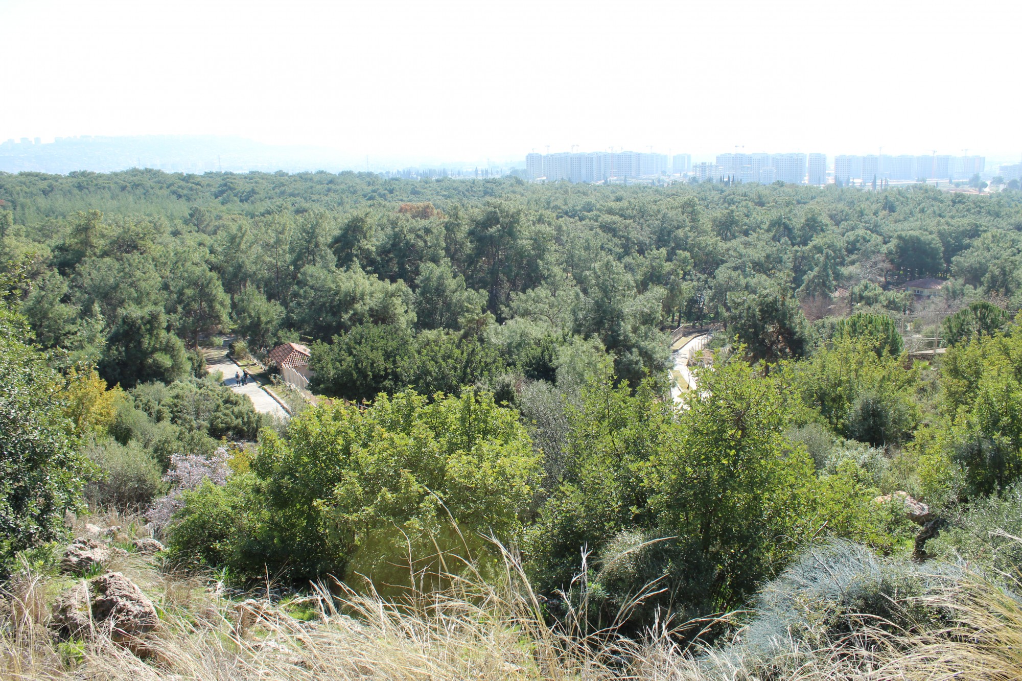 Antalya Zoo, Турция