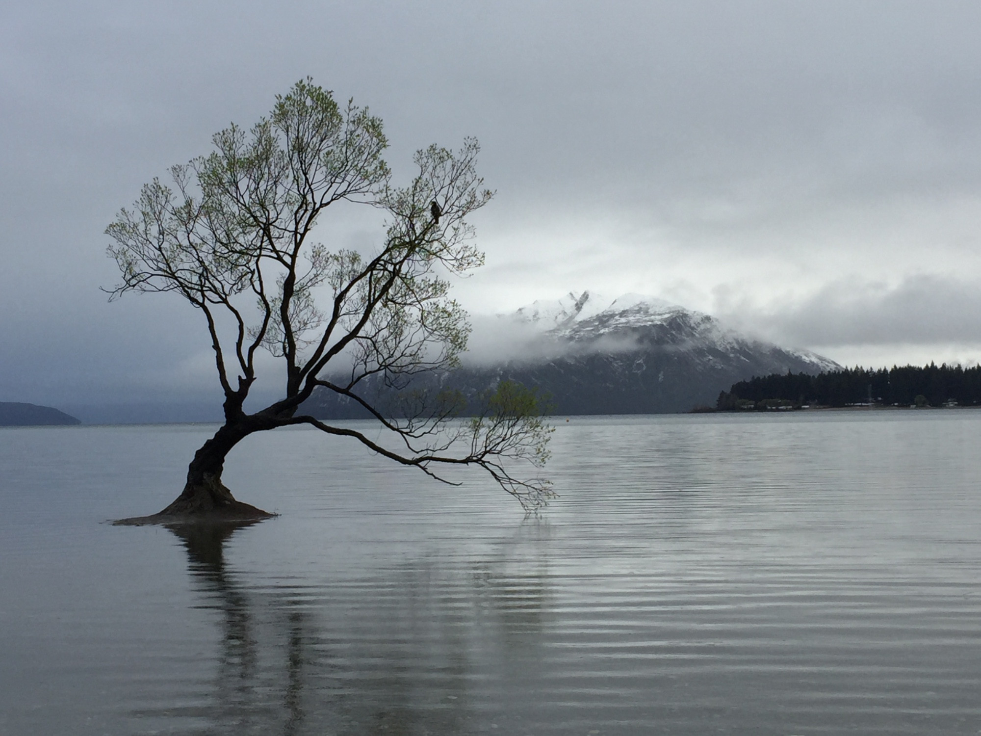 New Zealand