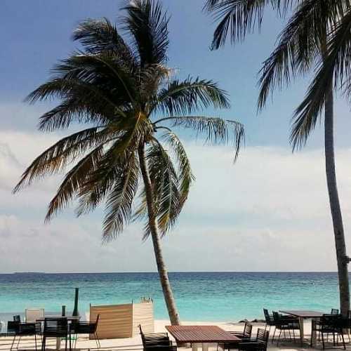 Мальдивские о-ва