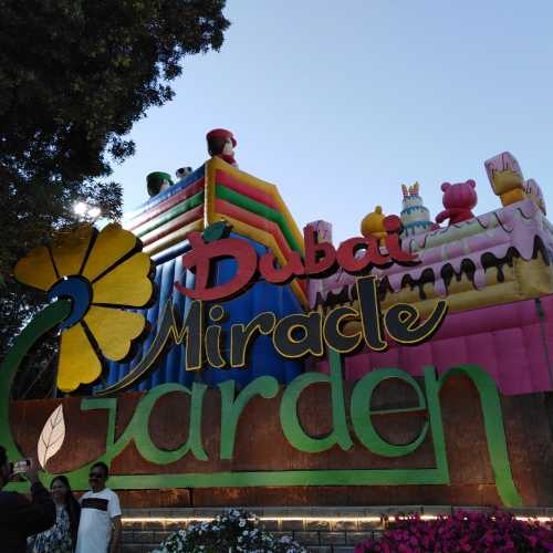 Miracle Garden, United Arab Emirates