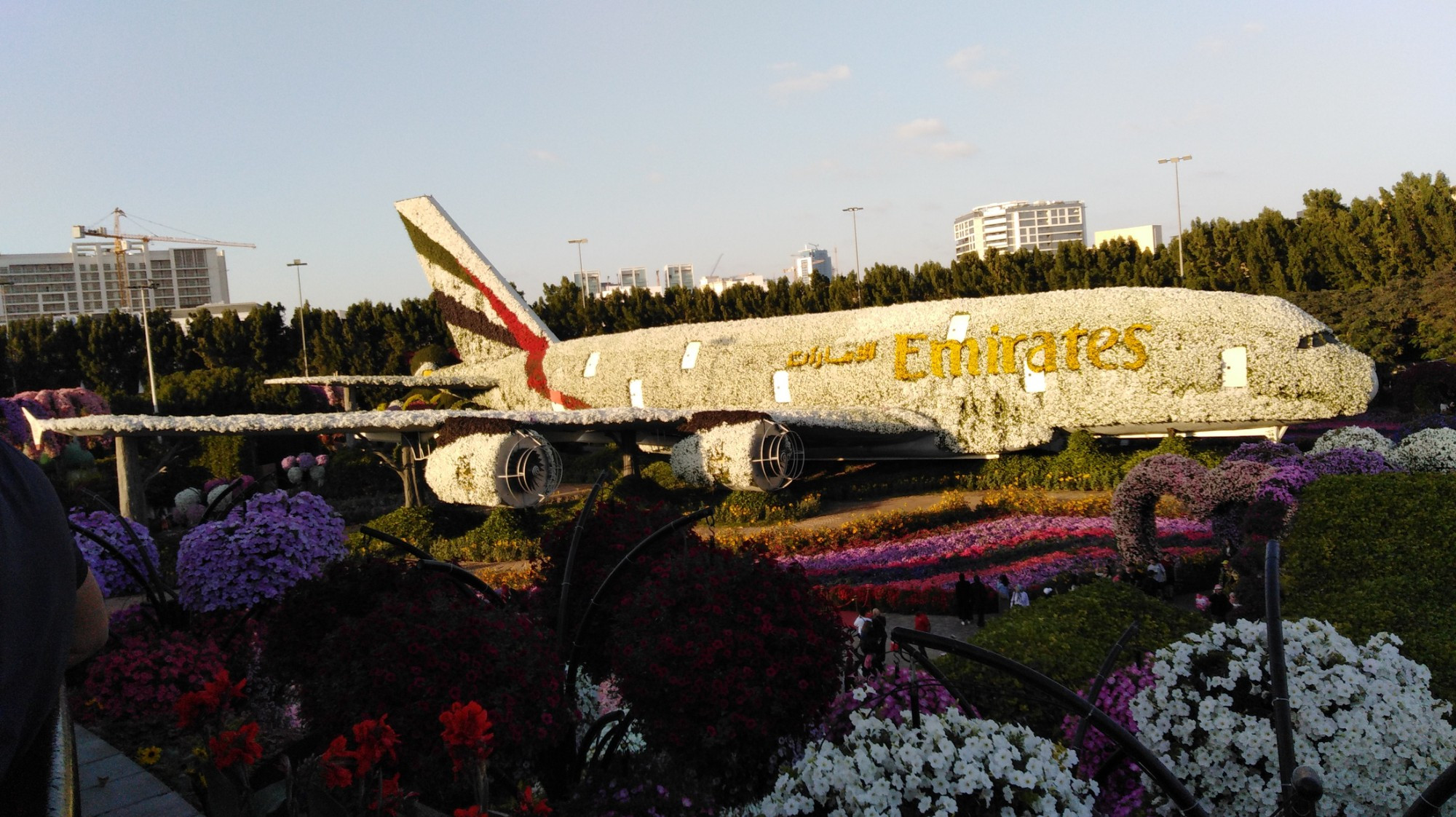 Miracle Garden, United Arab Emirates