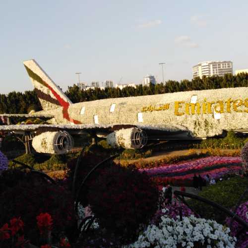 Miracle Garden, United Arab Emirates