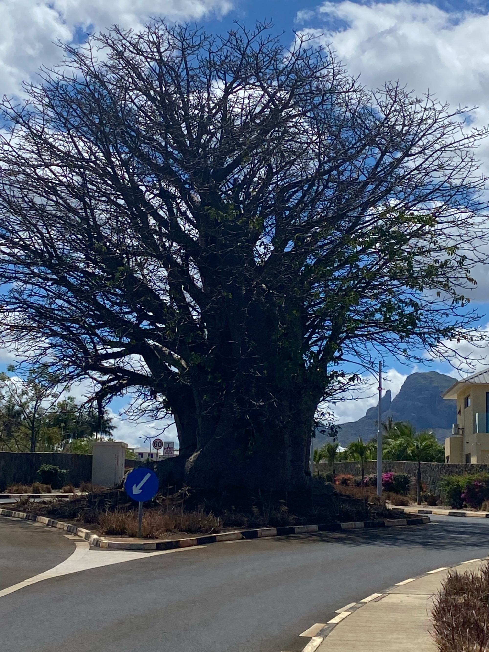 Mauritius