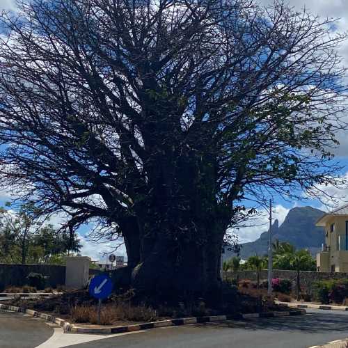 Mauritius