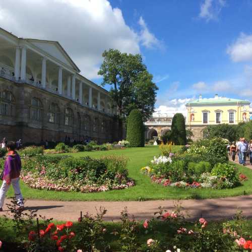 Пушкин, Россия