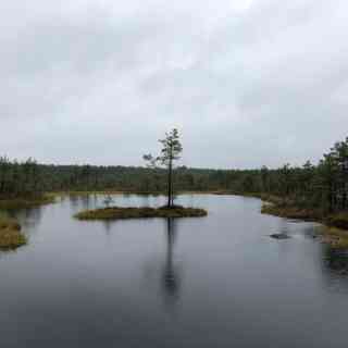 Lahemaa National Park photo