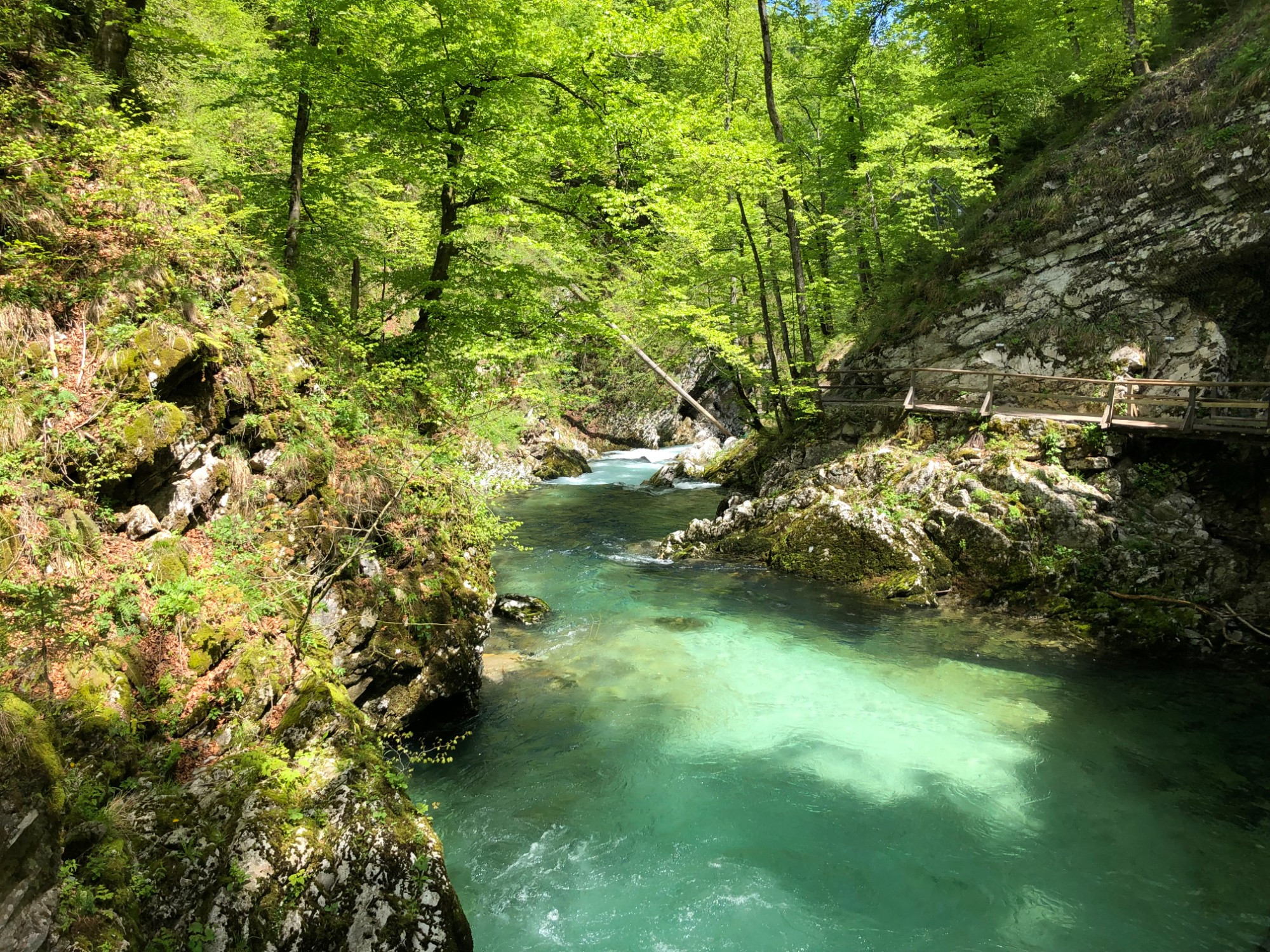 Vintgar Gorge, Slovenia