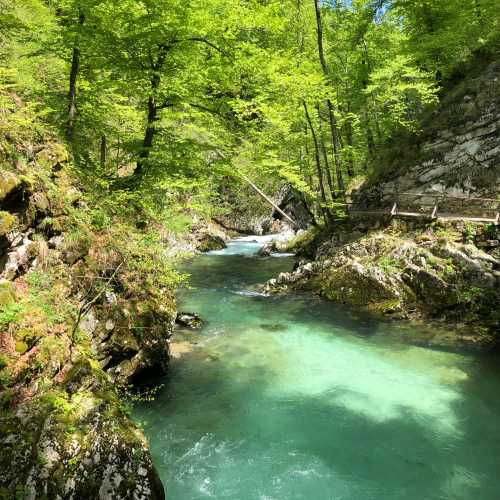 Vintgar Gorge, Slovenia