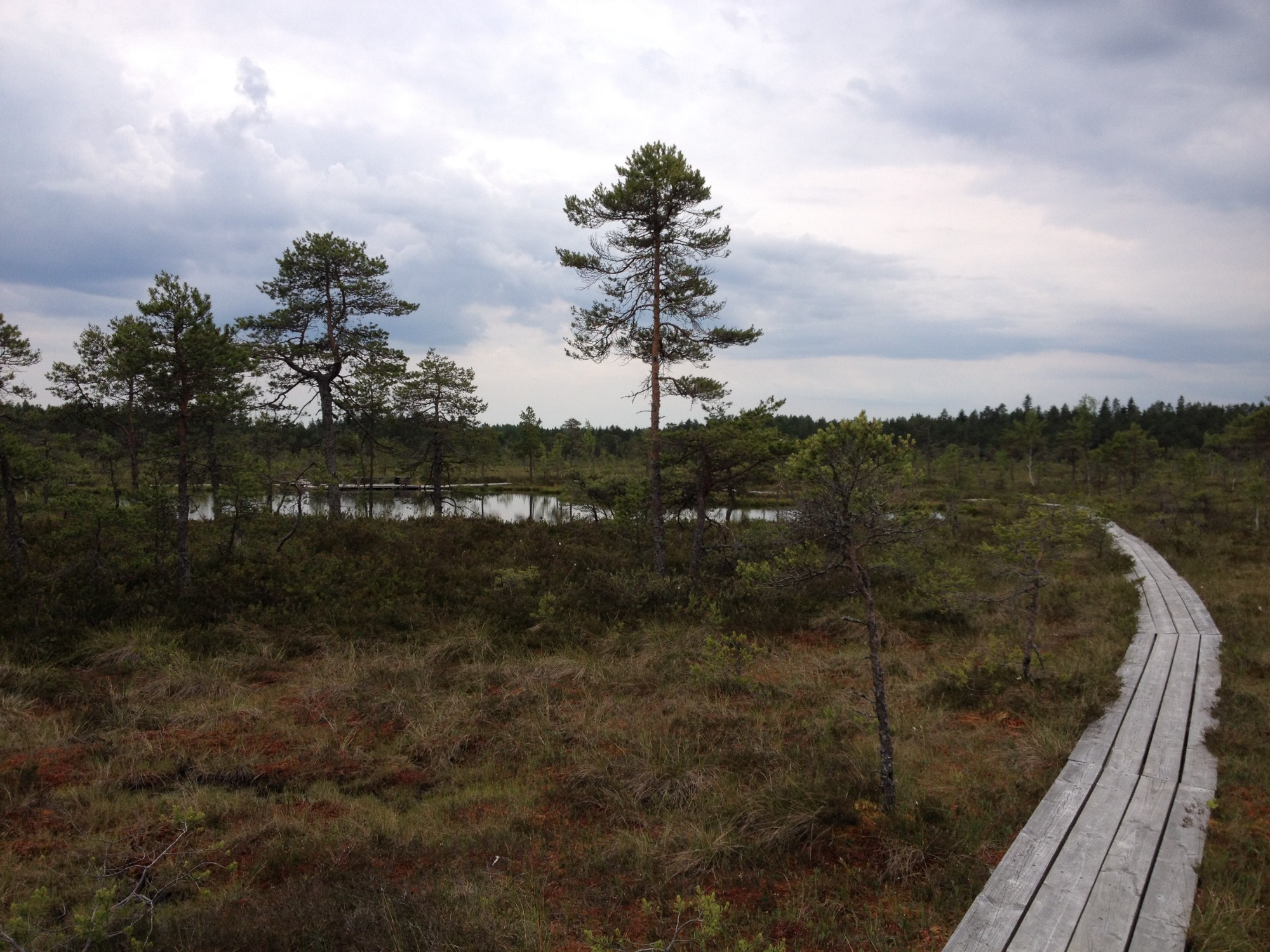 Soomaa National Park, Estonia