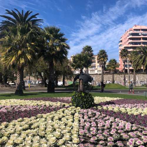 Viña del Mar photo