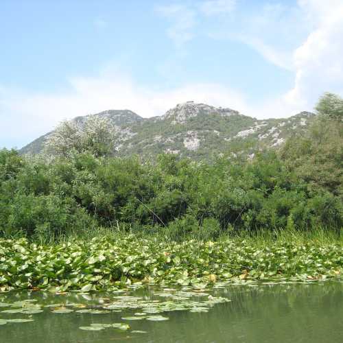 Lake Skadar, Albania