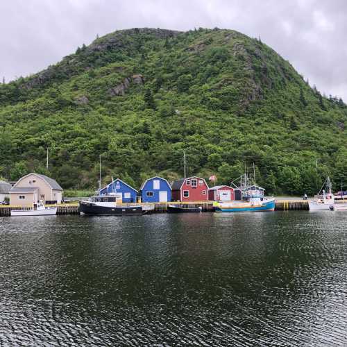 Petty Harbour, Канада