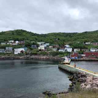 Petty Harbour photo