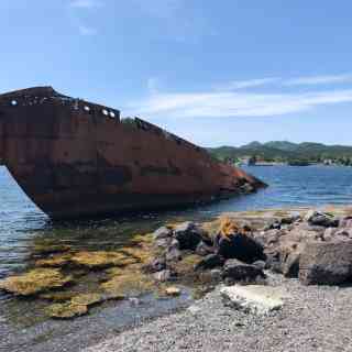 Conception Harbour photo