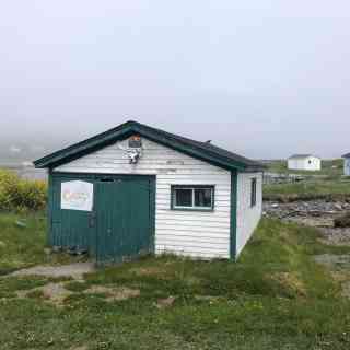 Ferryland Harbour photo