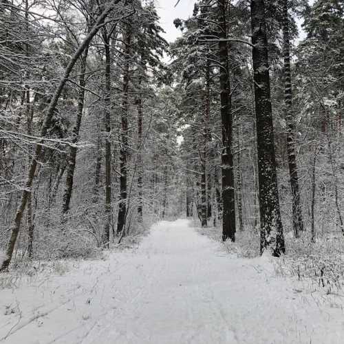 Протвино, Россия