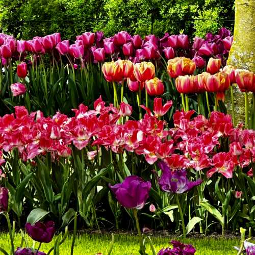 Нидерланды