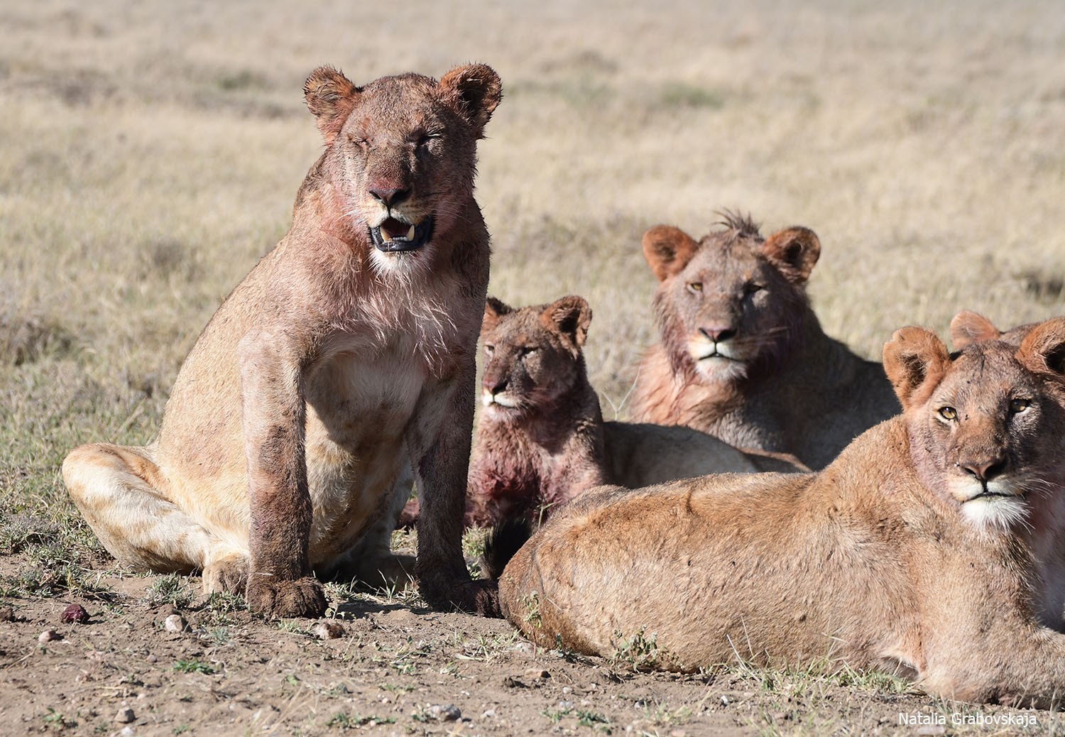 Tanzania