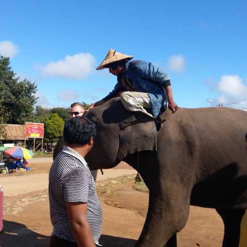 Мьянма (Бирма)