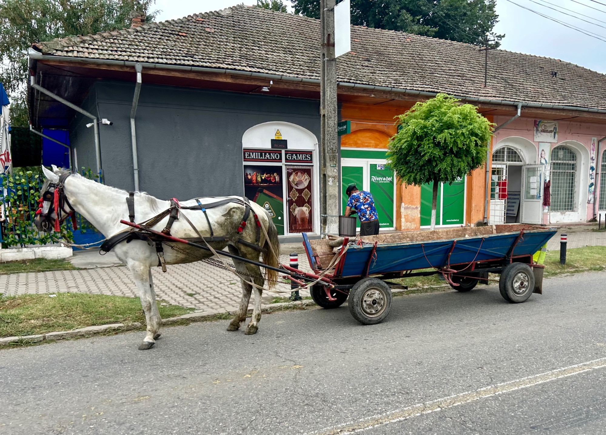 Bechet, Румыния