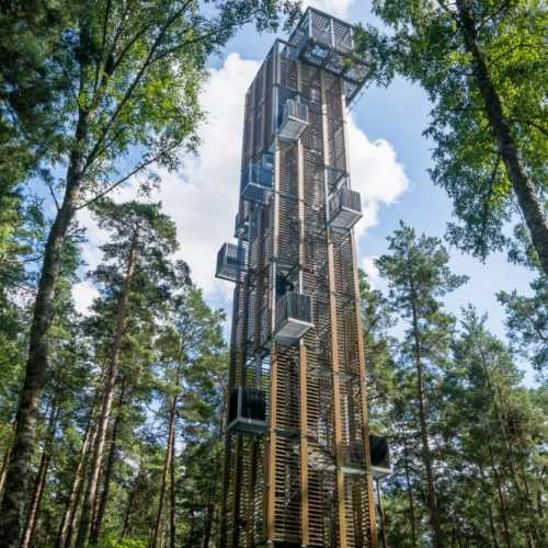 skatu tornis Dzintaru mezaparkā, Latvia