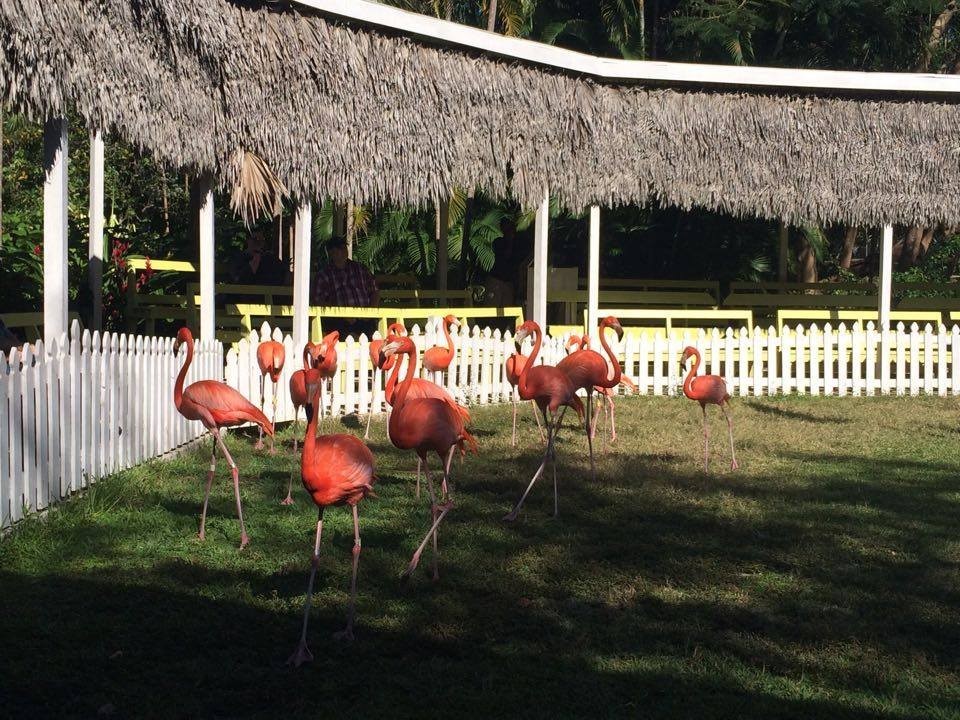 Nassau's zoo
