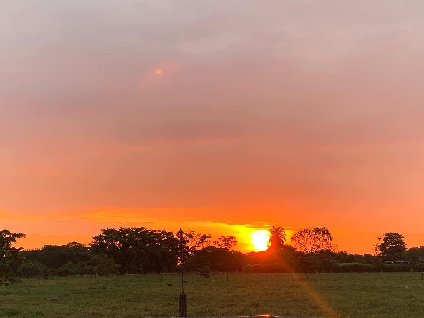 Atardecer llanero 