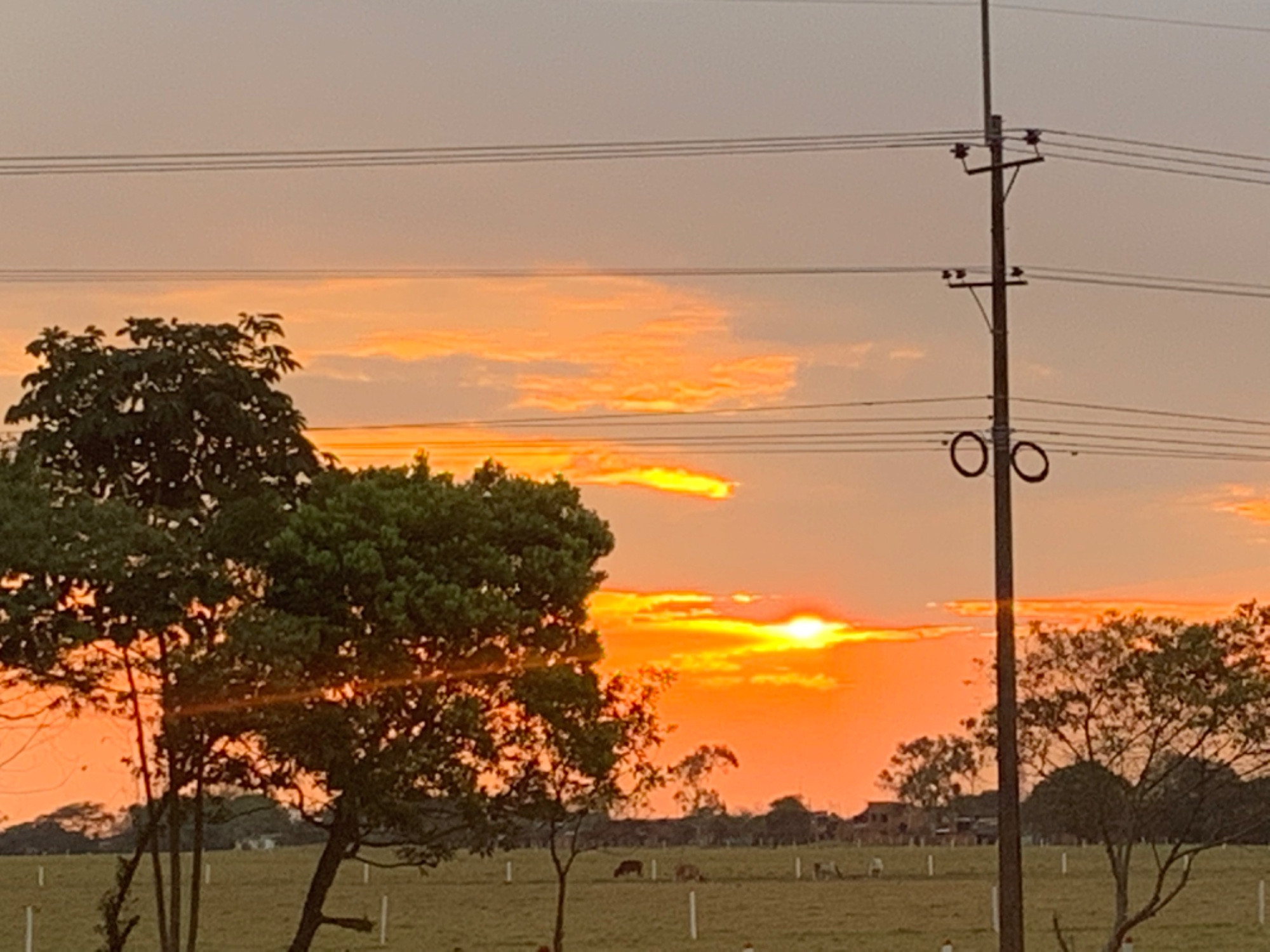 Atardecer llanero en San Martín Met 