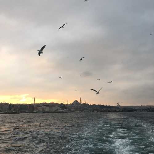 Стамбул, Турция
