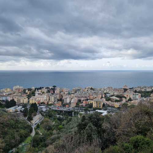 Genova